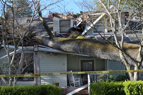 Marin County residents trapped after tree smashes home